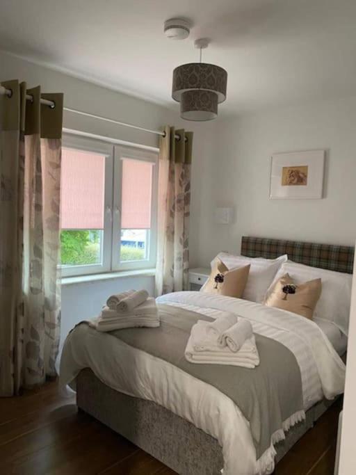 Location, Location - Modern 2 Bed Apt In Killarney Ngoại thất bức ảnh